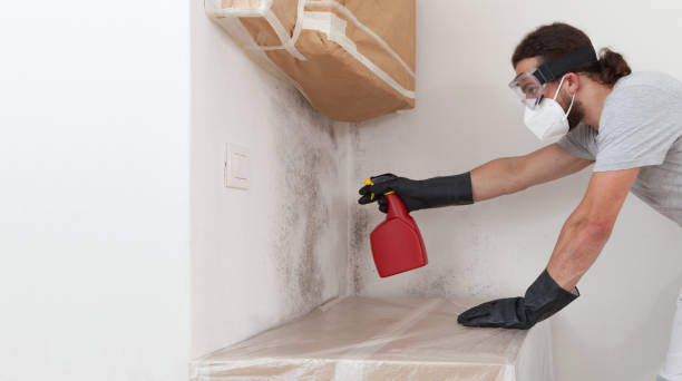 Professional Mold Testing technician working in Omena, MI